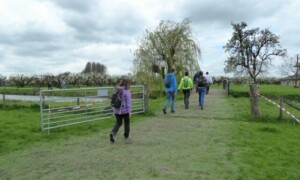 Rode Kruis Bloesemtocht
