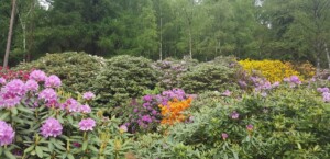 Wandelweekend Salland