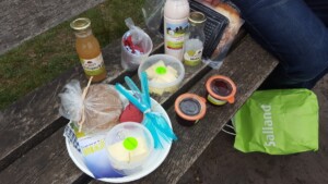 Salland Wandelweekend