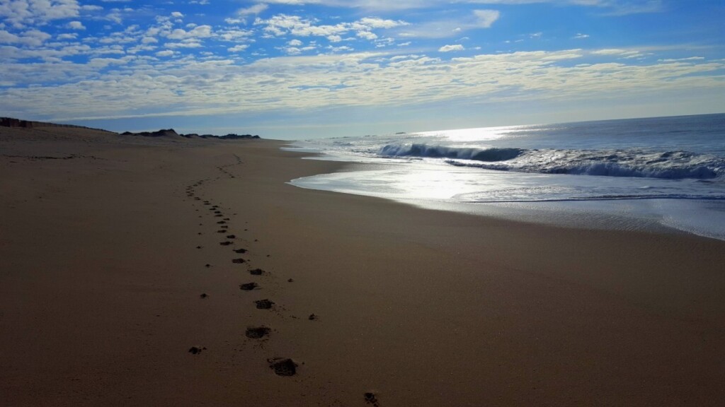 Strand wandelen