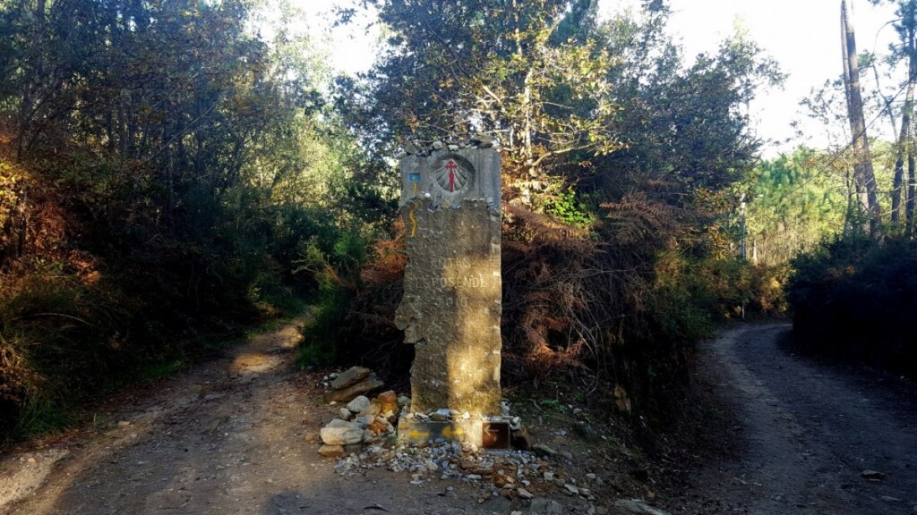 Camino Portugues 