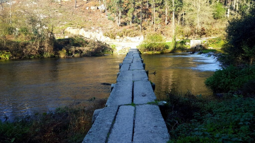 Camino Portugues 