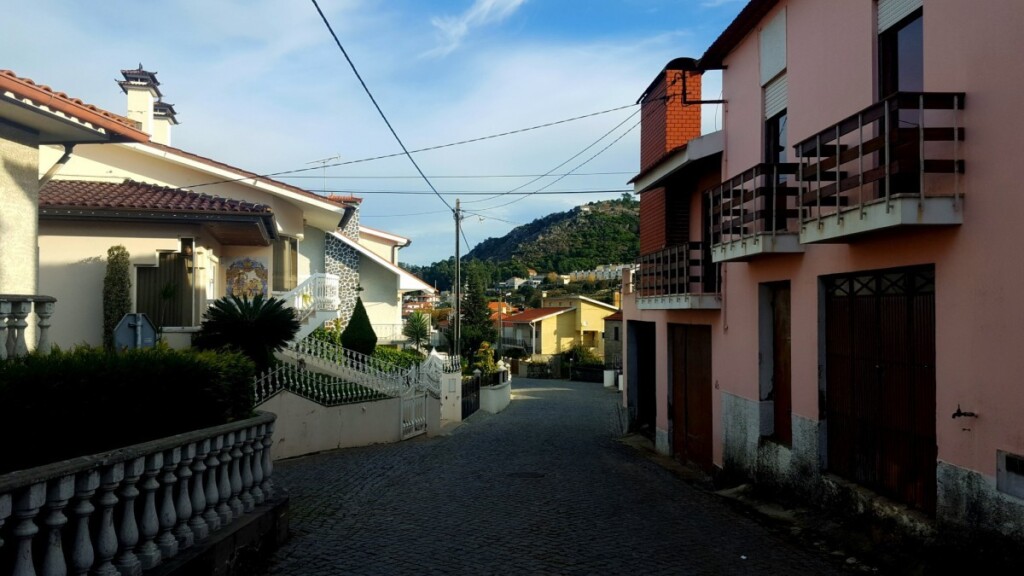 Camino Portugues 
