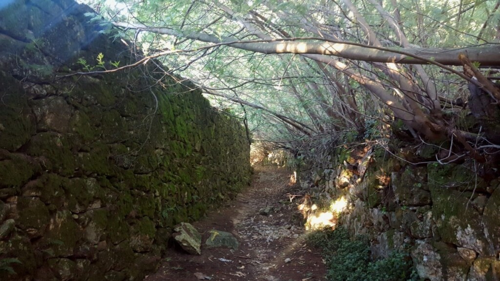 Een pelgrim op de camino Portugues 