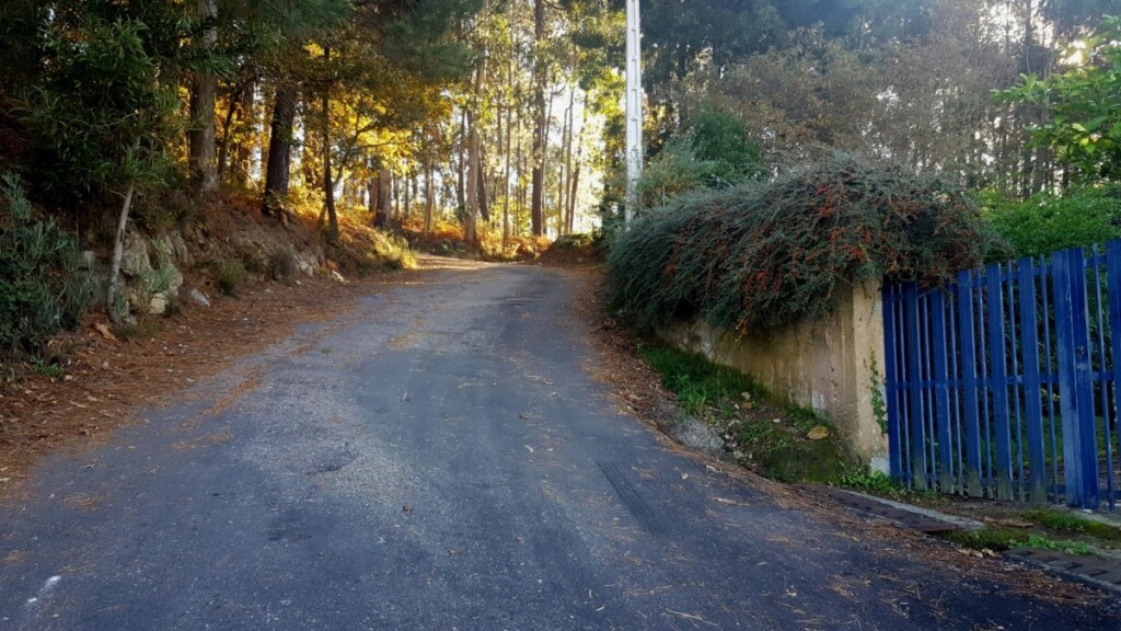 Het stijgingspercentage is af en toe behoorlijk. 