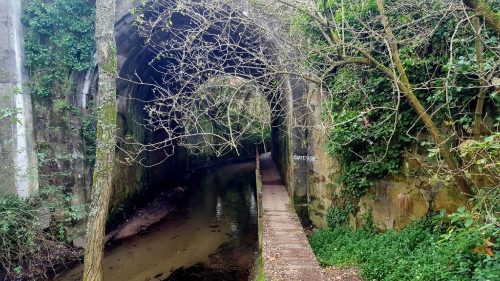 Na deze tunnel beginnen de gele pijlen weer.