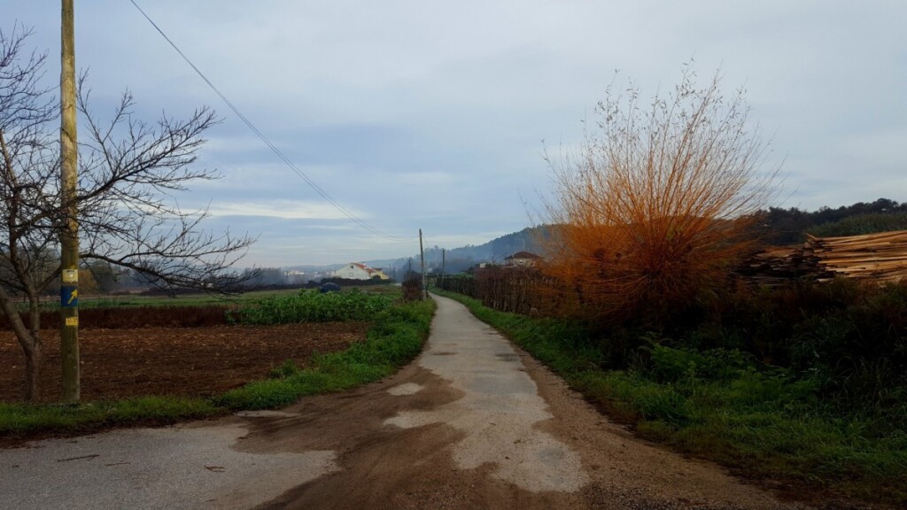 Camino Portugues