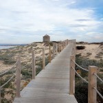 board langs de camino portugues