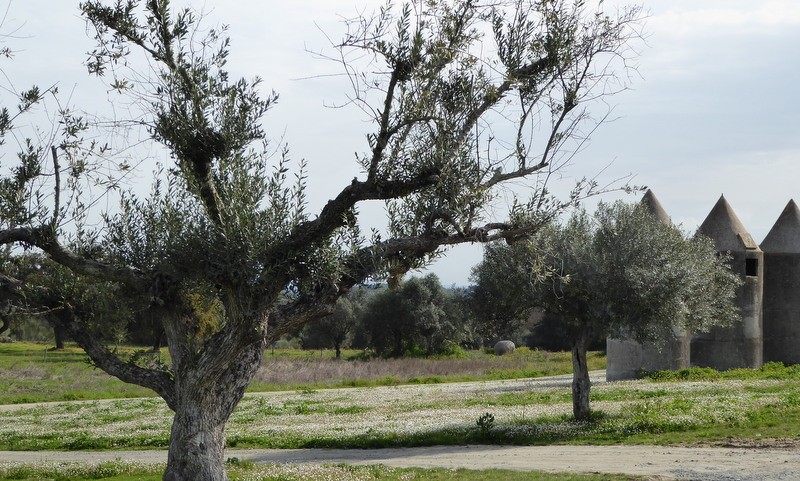 Alentejo Portugal