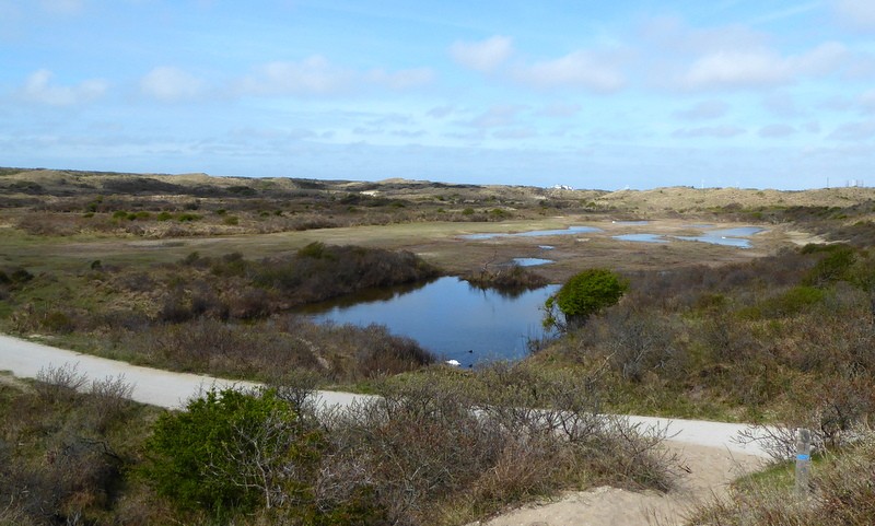 meer in de Kennemer duinen