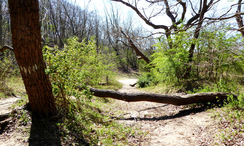 Wandelroute Duin en Kruidberg