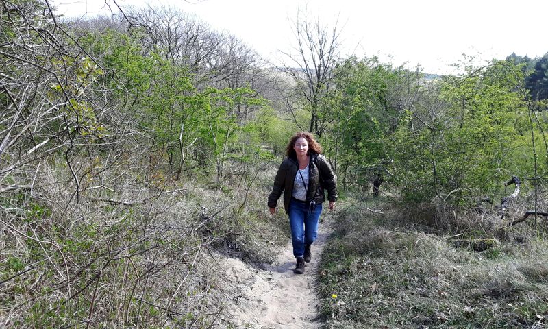 Wandelroute duin en kruidberg