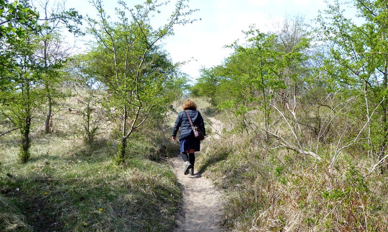 wandelroute duin en kruidberg