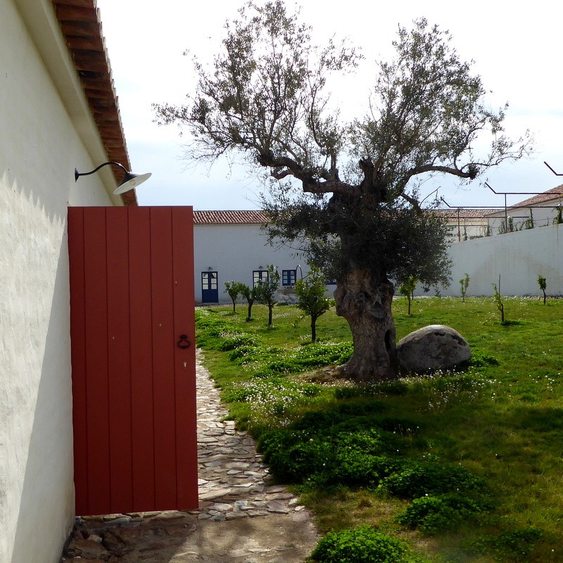 São Lourenço do Barrocal, Alentejo Portugal