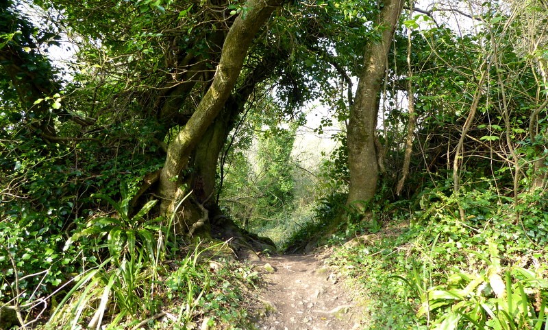 Wandelen in het natuurgebied Undercliffs National Nature Reserve