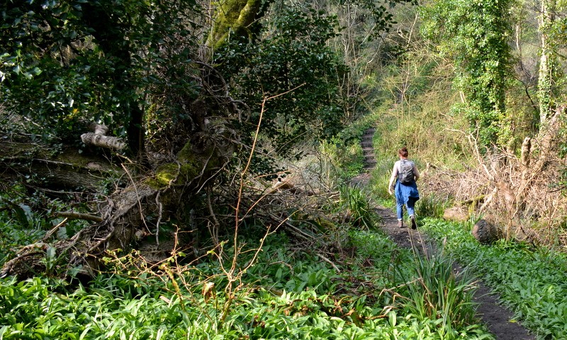 Bregje op het South West Coast Path. Undercliffs tussen Lyme Regis en Seatown