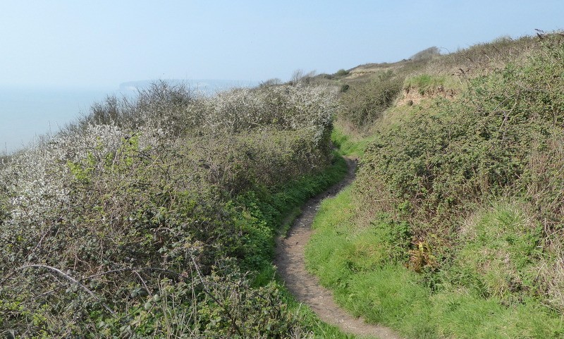 South West Coast Path