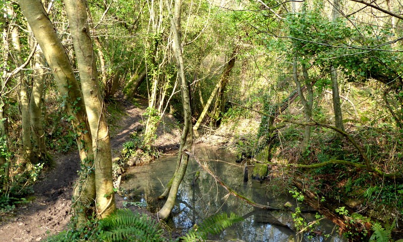 het natuurgebied Undercliffs National Nature Reserve