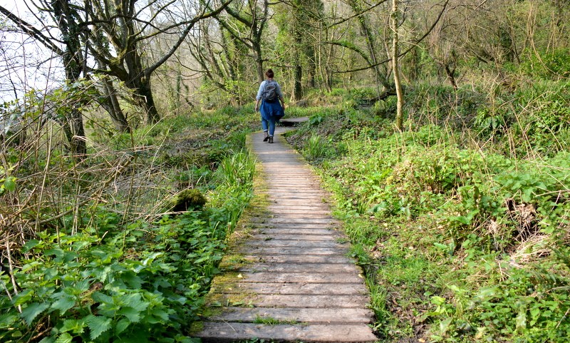 Wandelen over de undercliffs tussen Lyme Regis en Seatown