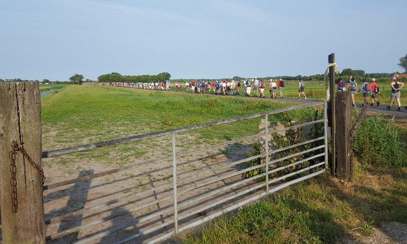 Wandelvierdaagse Alkmaar. Op weg naar Egmond