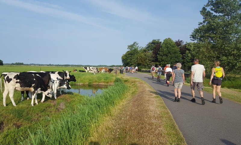 PlusWandel4daagse Alkmaar