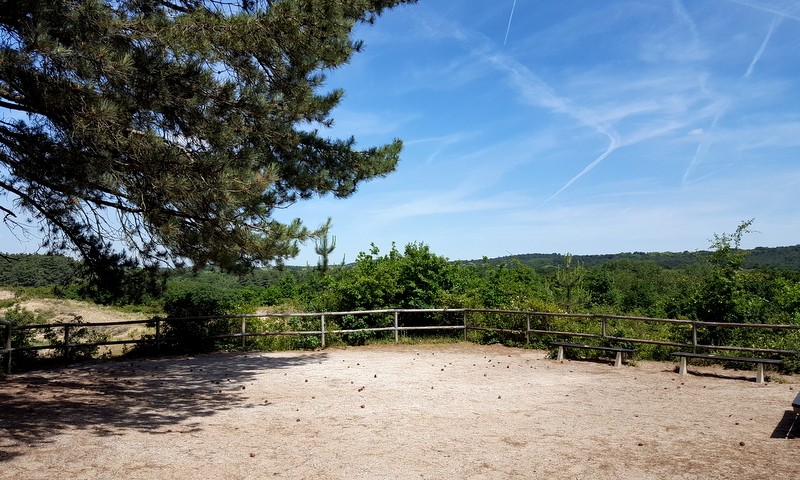 Uitzichtpunt Konijnenburg Kennemerduinen