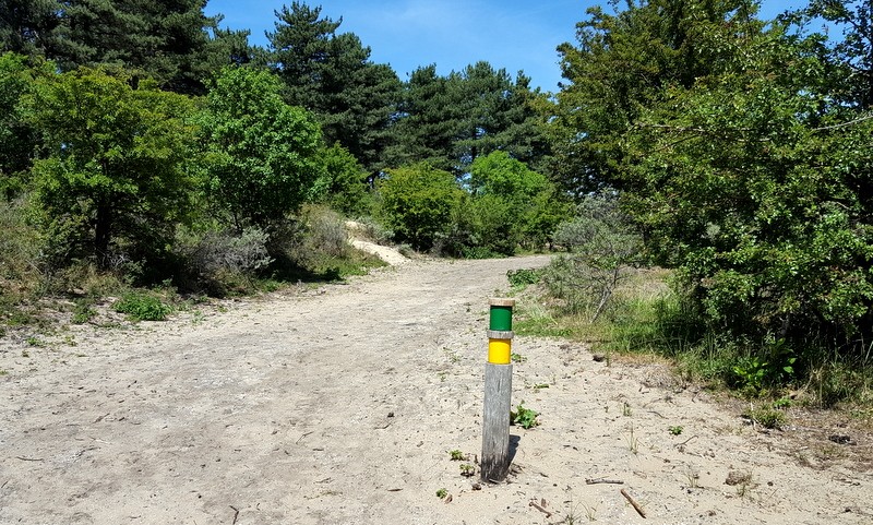 De groene route Kennemerduinen