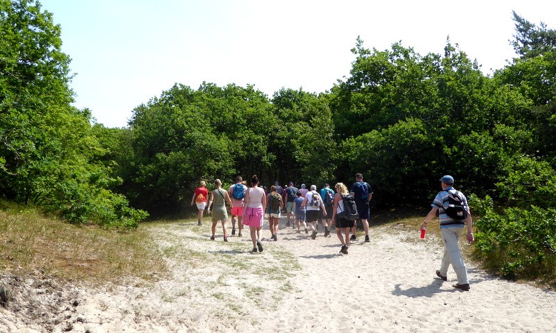 Strand- en duinenroute Wandel4daagse Alkmaar