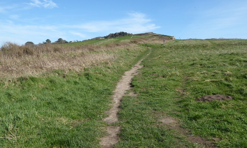 Vanaf Charmouth naar Stonebarrow Hill