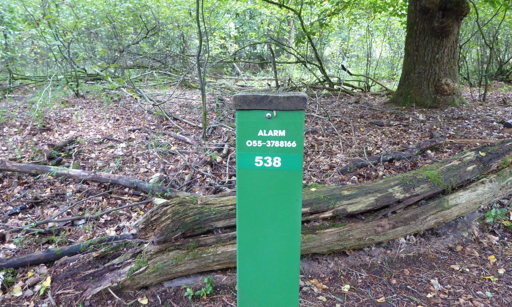 Paaltjesroutes in Park Hoge Veluwe