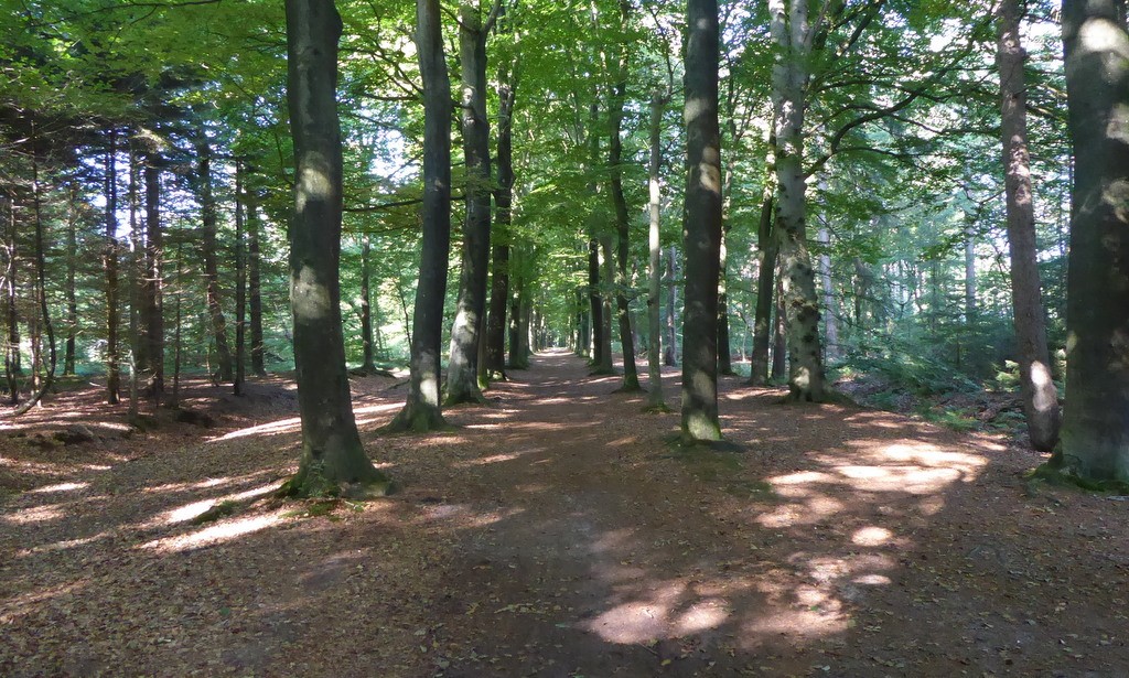 wandelen in Beetsterzwaag