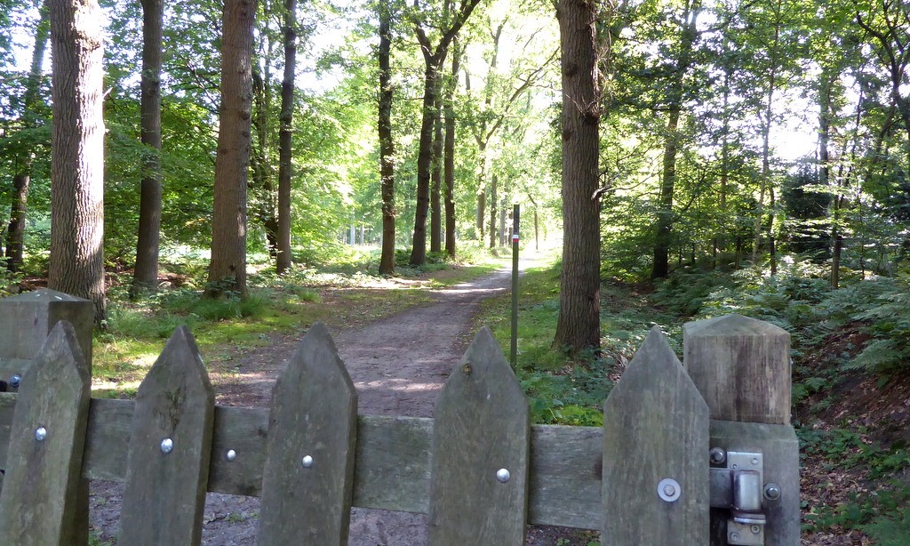 Beetsterzwaag, ook het Groot-Frieslandpad loopt hier