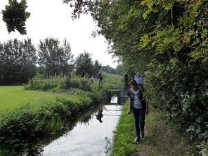 wandelen over het Noardlike Fryske Wâlden Pad