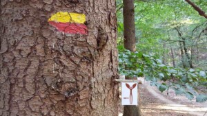 Walk of Wisdom, het icoon wijst je de weg