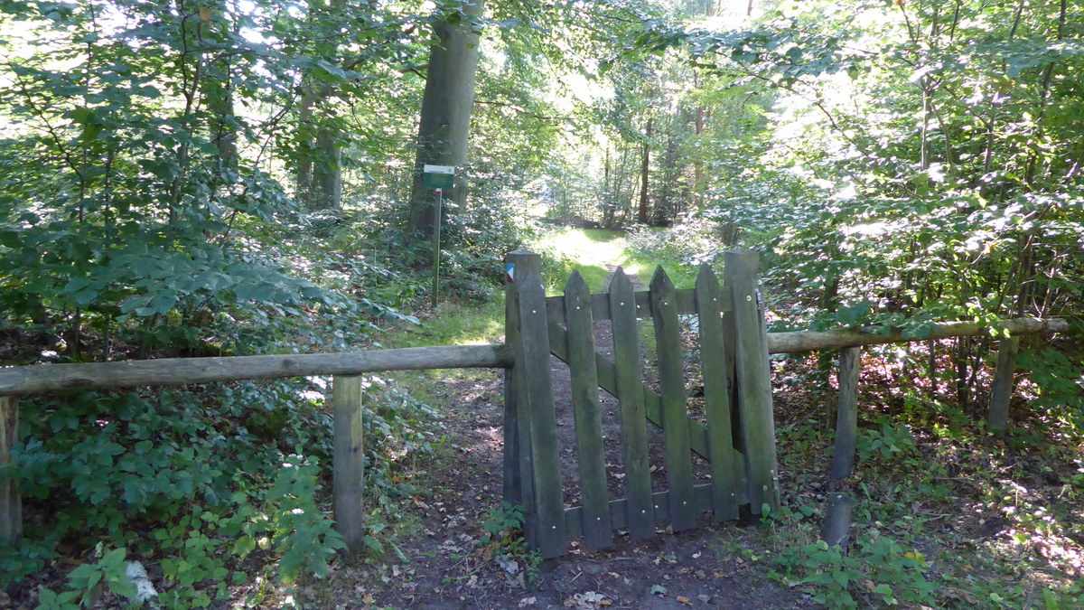 Landgoed Lauswolt, Lanterfanten in Beetsterzwaag