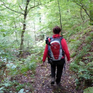 Top 10 mooiste wandelbestemmingen - Westerwald Steig