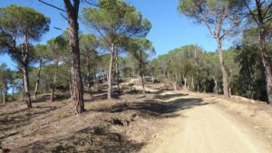 Quart Girona. heuvels en bossen