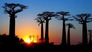 Madagaskar bucketlist