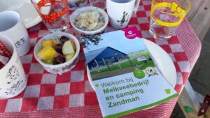 Anjerpunt boerderj Zandman in Beerze