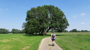Vechtdalpad tussen Rheeze en Hardenberg