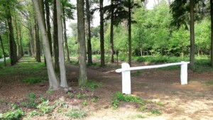Het bos bij landgoed het Lear