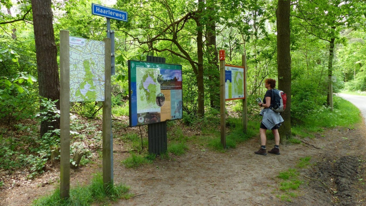 De 5 mooiste wandelingen in Overijssel 