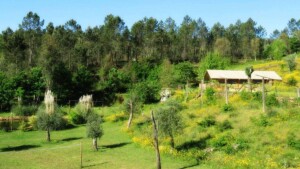 Quinta do Cascalhal