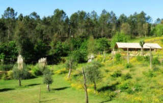 Quinta do Cascalhal