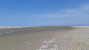 Strandvijfdaagse 2018 - breed strand