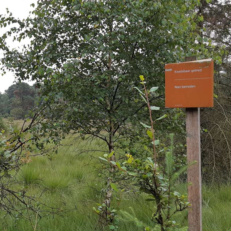 Boswachterspaden - initiatief van Staatsbosbeheer