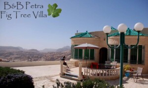 Reading and relaxing on the terrace of B&B Petra Fig Tree Villa!