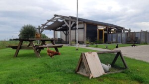 B&B De Pieper Horizon