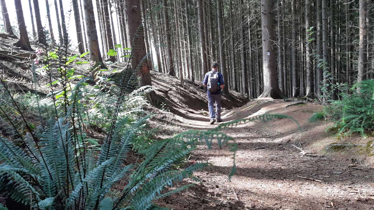 teutoschleife Canyon Blick 