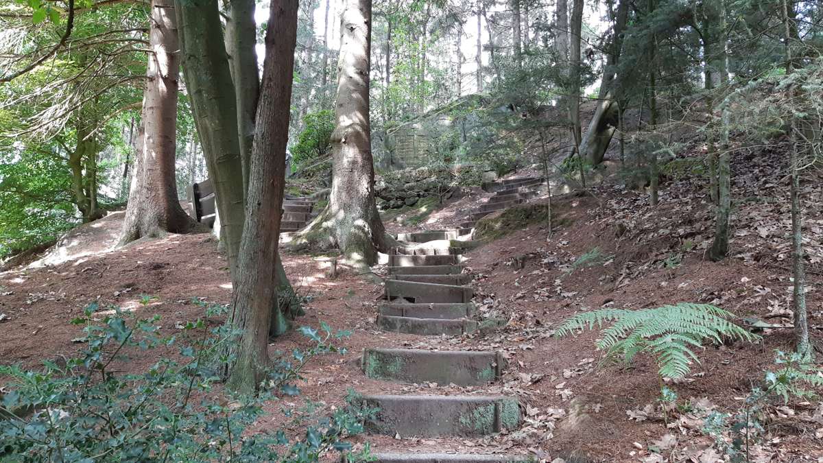 teutoschleife Canyon Blick 